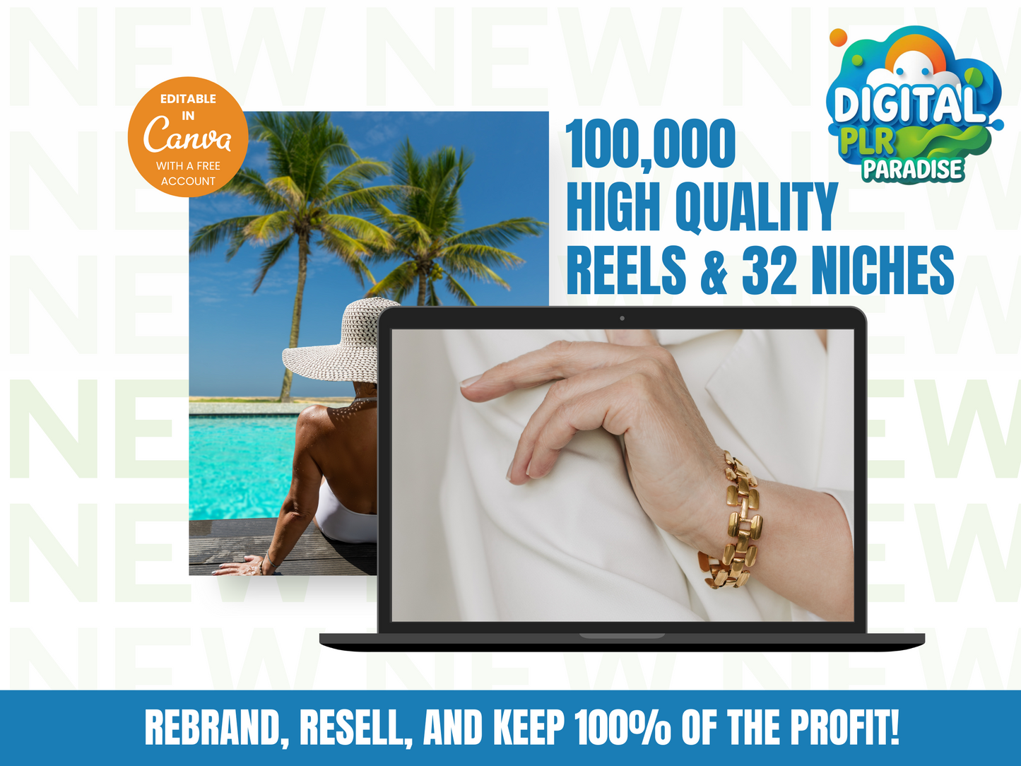 100,000 Reels. 32 Niches. 1 Powerful Income Stream.
